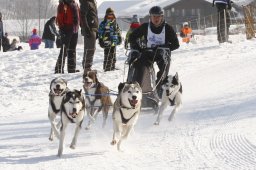 Lenk 2012 SM